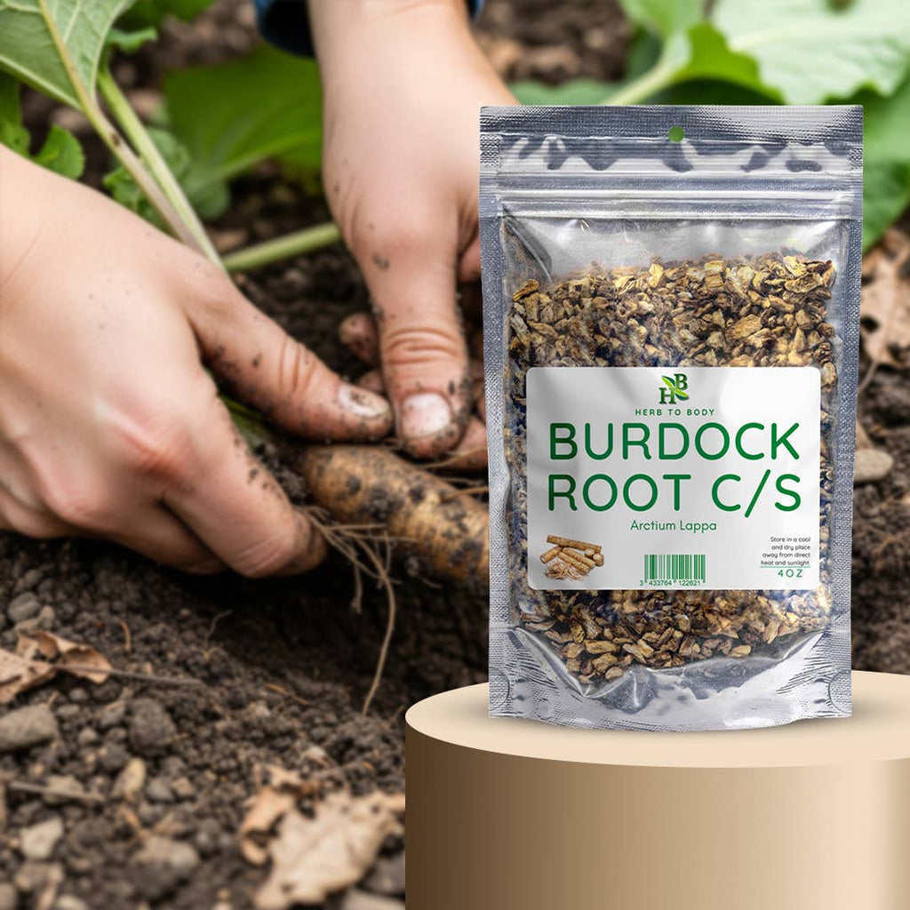 Burdock Root C/S 4oz