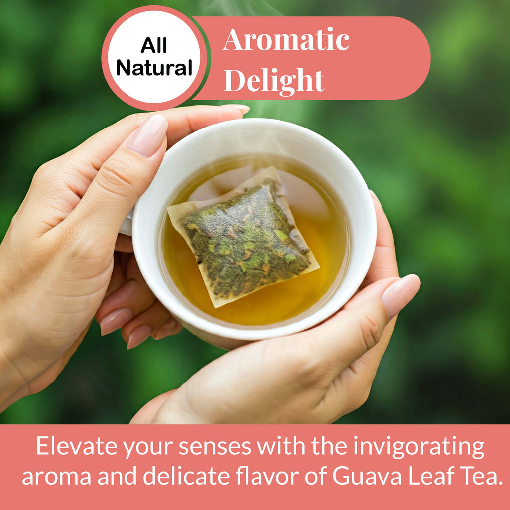 Guava Tea Bags, 50 Bags, Te de Hoja de Guayaba, Herbal Tea