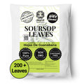 Soursop Leaves 73.8g, Hojas de Guanabana 200+Graviola Leaves