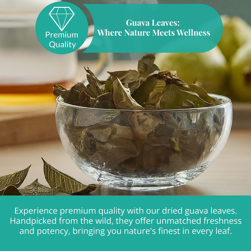 Premium Dried Guava Leaves 2.6 oz. | All Natural Herbal Tea