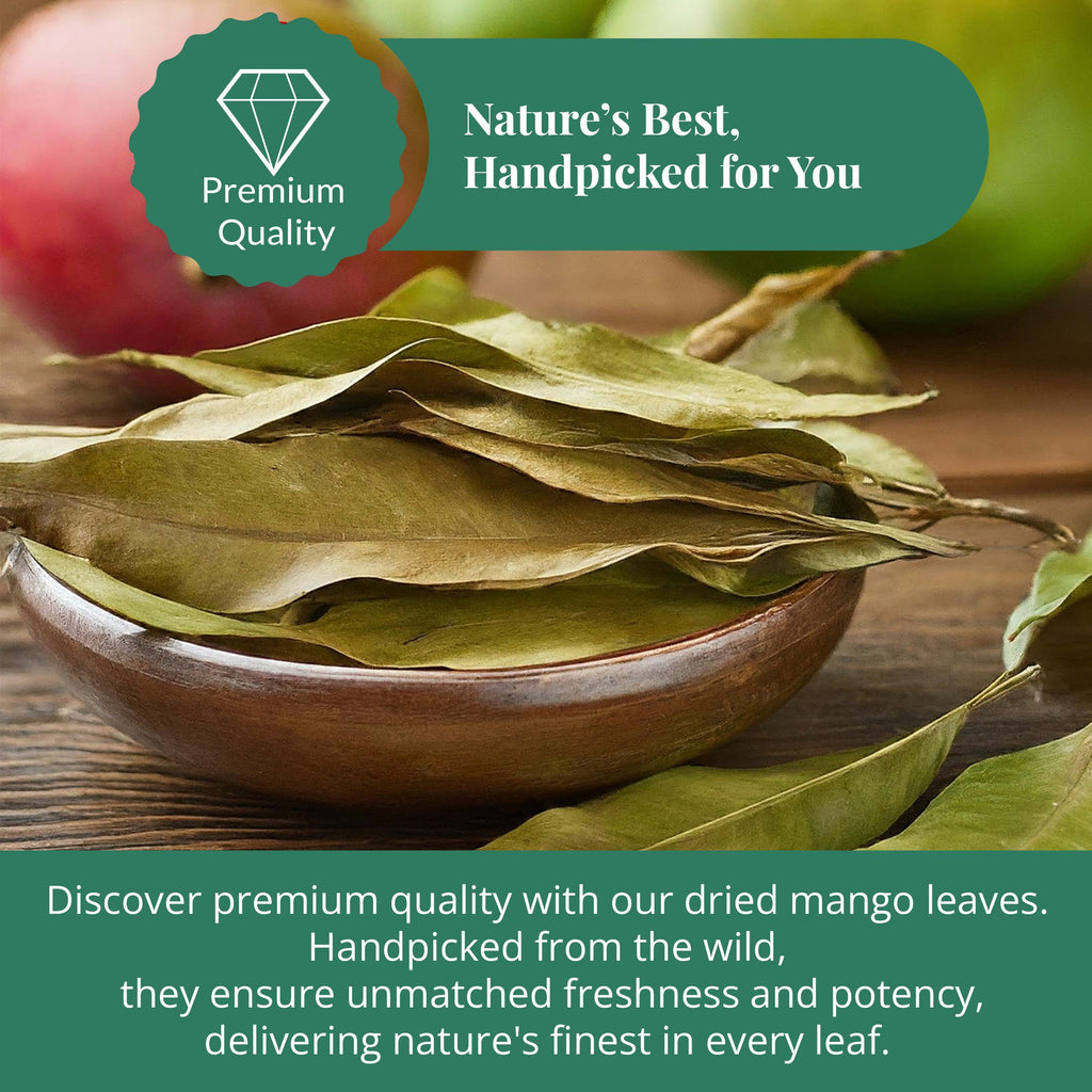 Dried Mango Leaves, Hoja De Mango Secas - 2.6 oz. Case of 5
