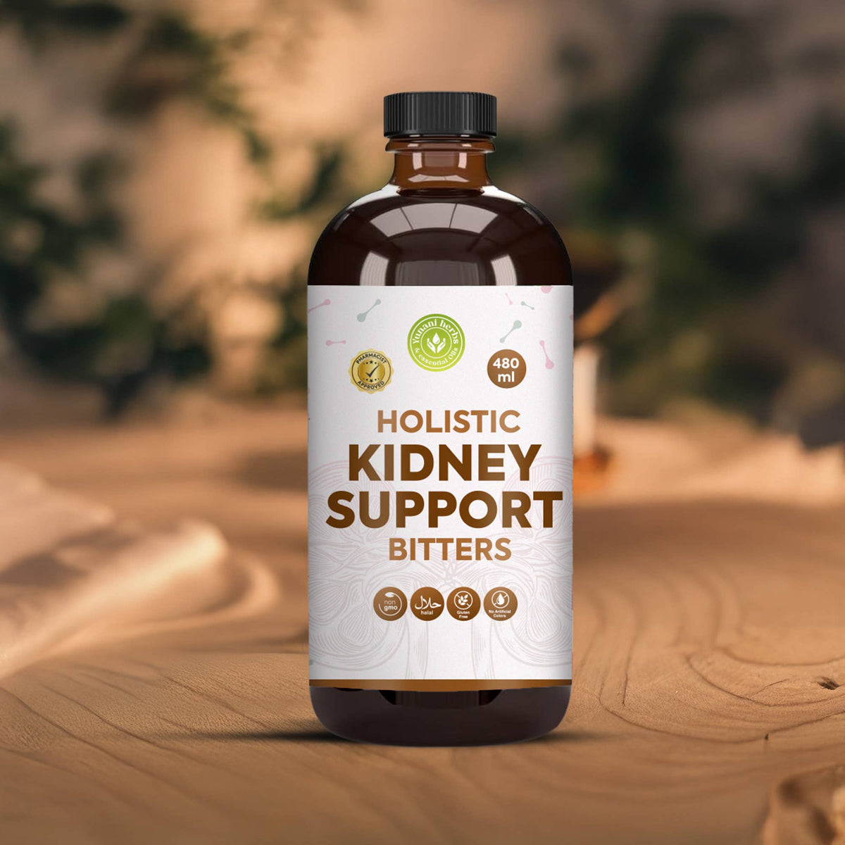 Kidney