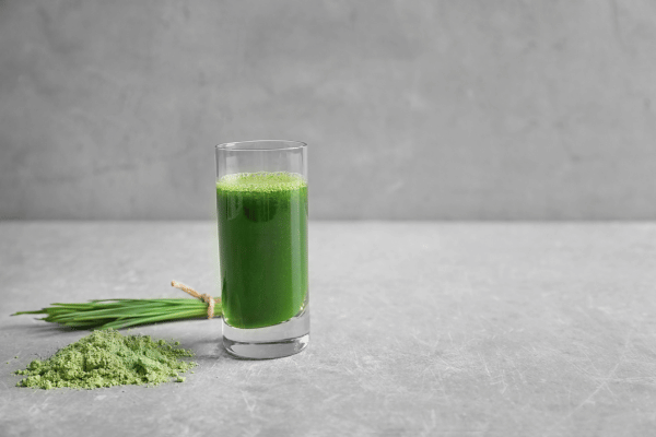 Wheat Grass Juice Powder -  4oz | Herb To Body