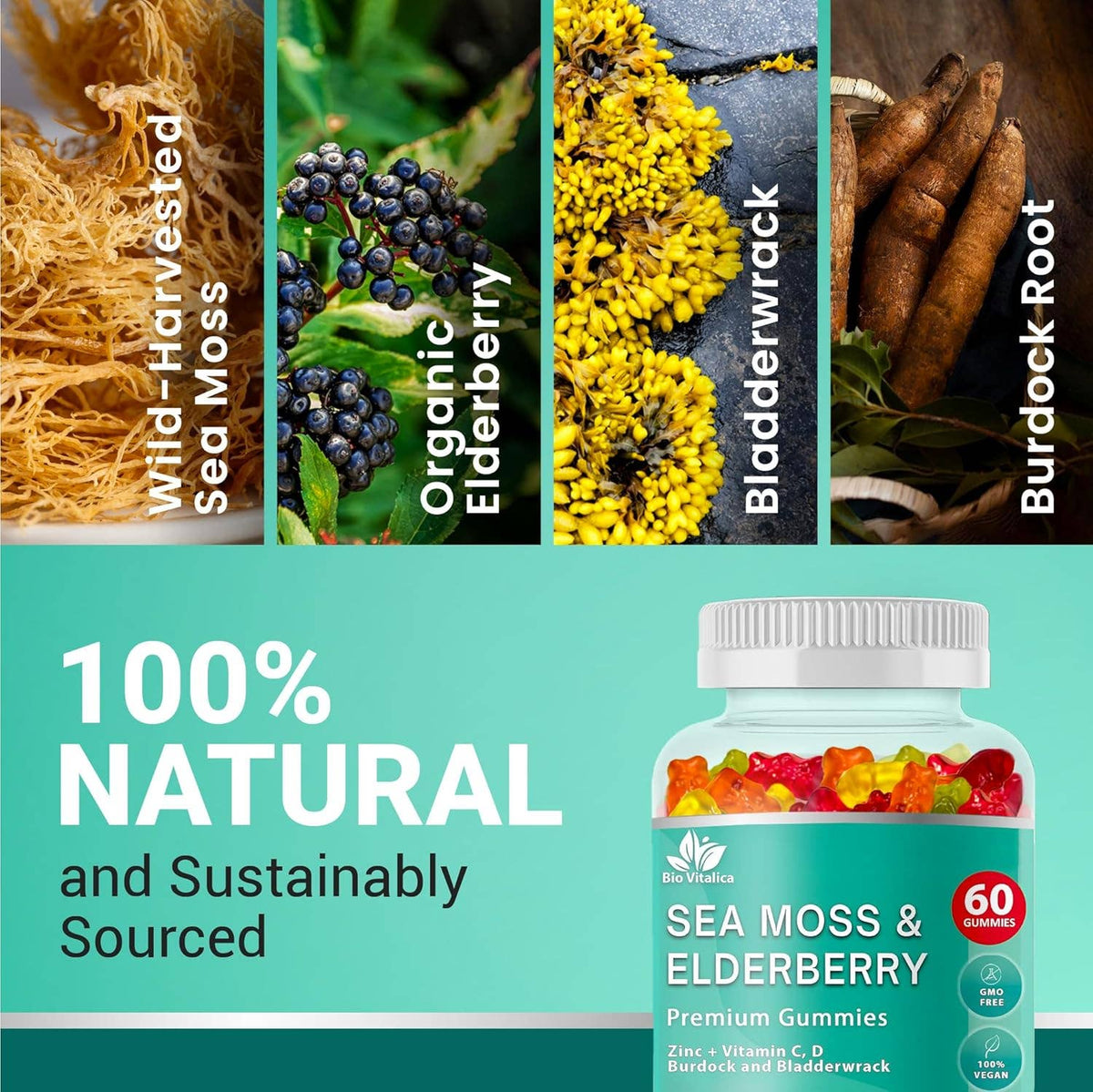 Sea Moss Elderberry Gummies Vitamin C D + Zinc Bio Vitalica