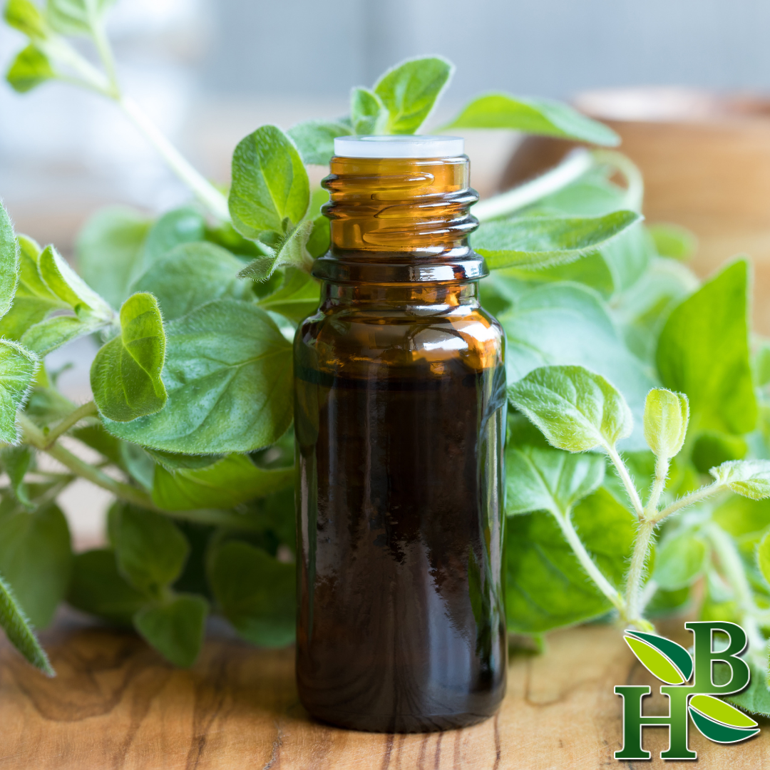 Oregano Leaf Powder