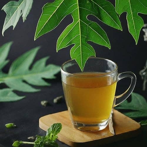 Dried Papaya Leaves, Papaya Leaf Tea 75g , Herbal Tea