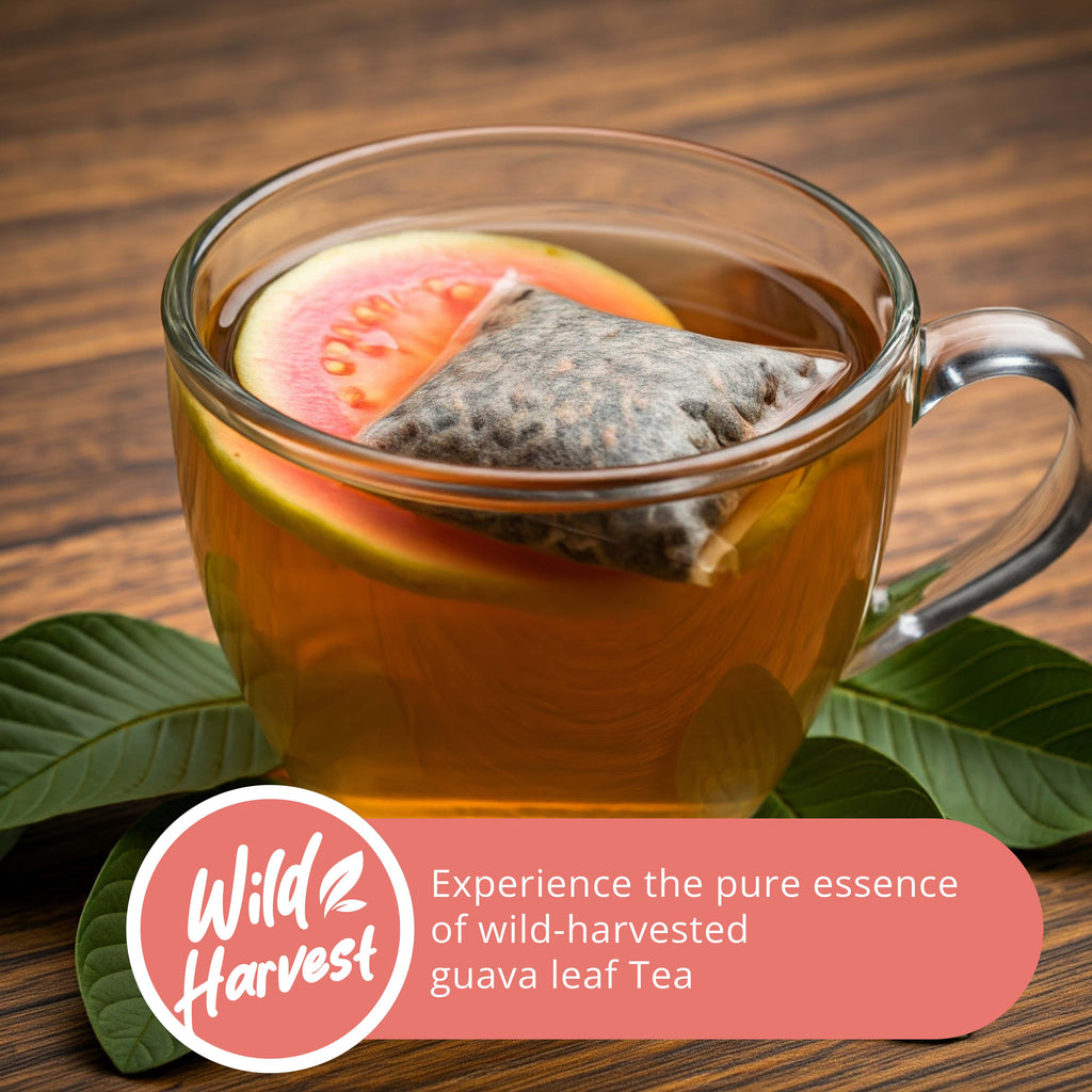 Guava Tea Bags, 50 Bags, Te de Hoja de Guayaba, Herbal Tea