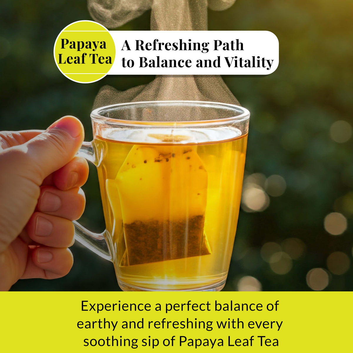 Papaya Leaf Tea Bags – 75 Count, 100% Natural Herbal Tea