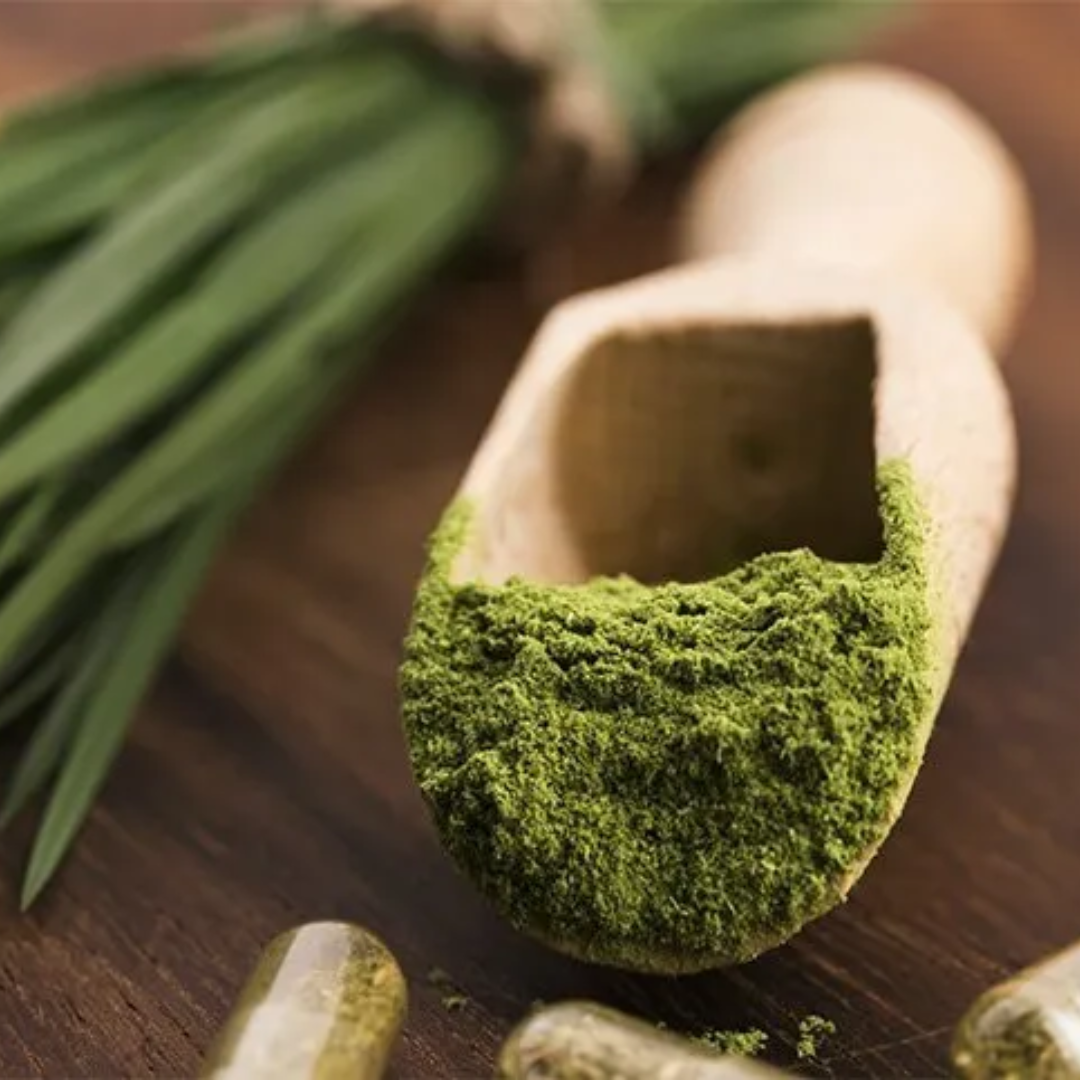 Barley Grass Powder - 4oz