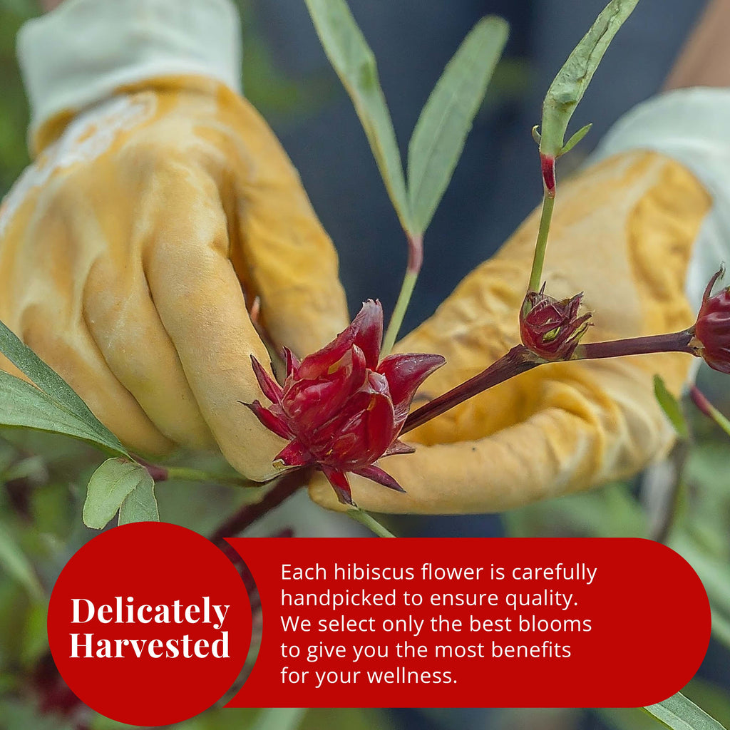 Dried Hibiscus Flower Petals , 100% Natural. 5 oz.