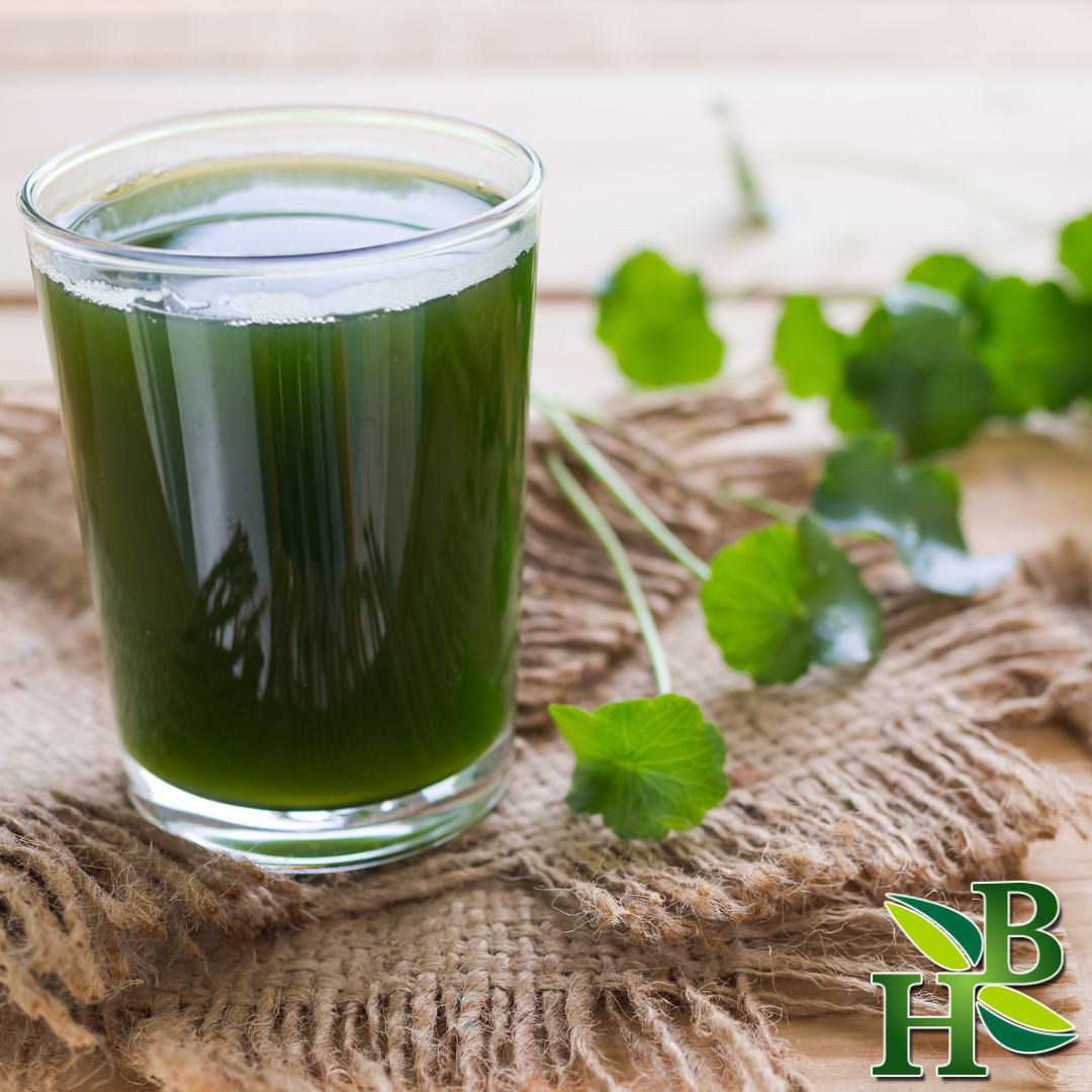 Gotu Kola Herb C/S