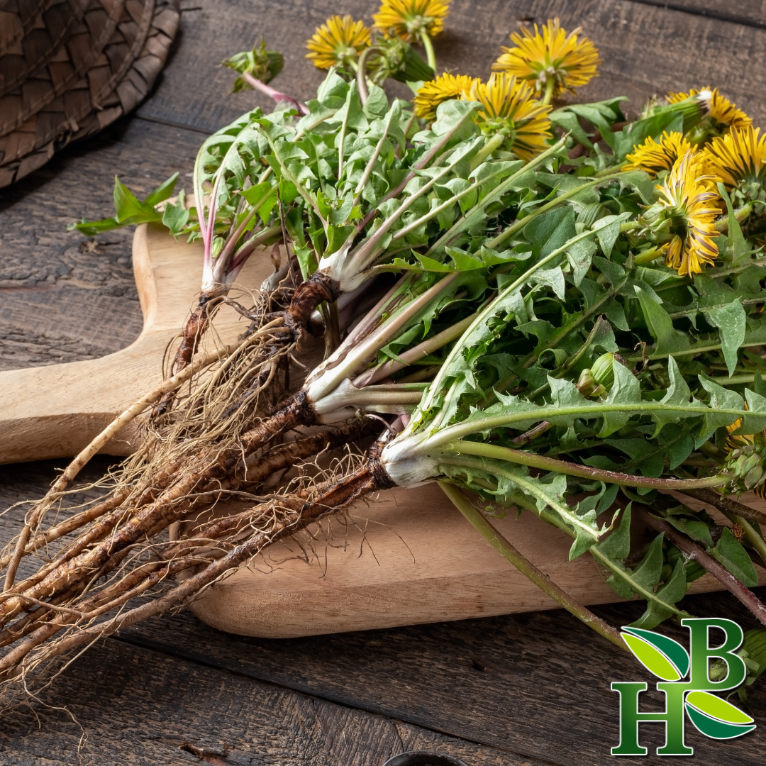 Dandelion Root C/S 4oz
