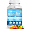 Sea Moss & Ashwagandha Gummies with Burdock & Bladderwrack