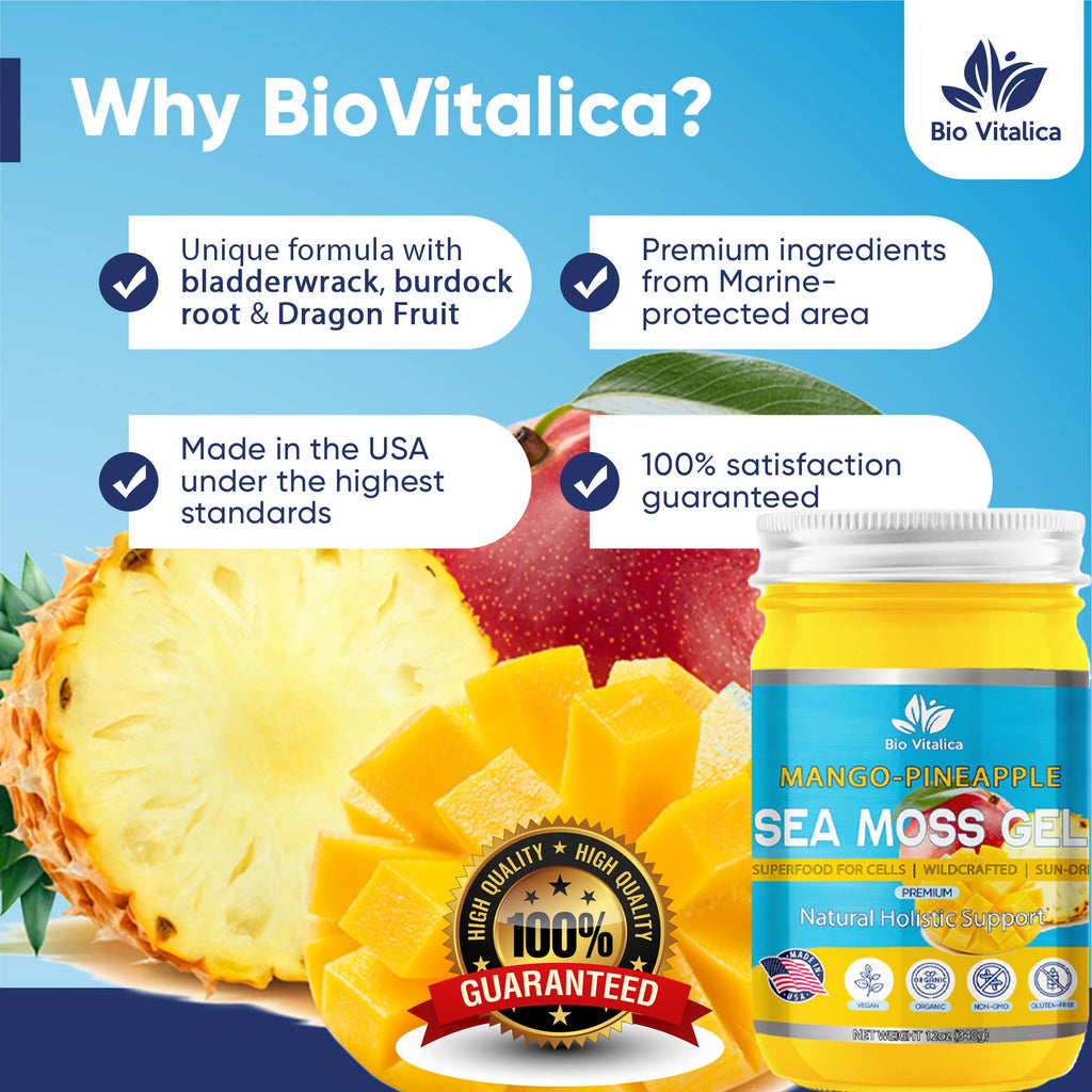 Sea Moss Gel by BioVItalica (Mango Pineapple)