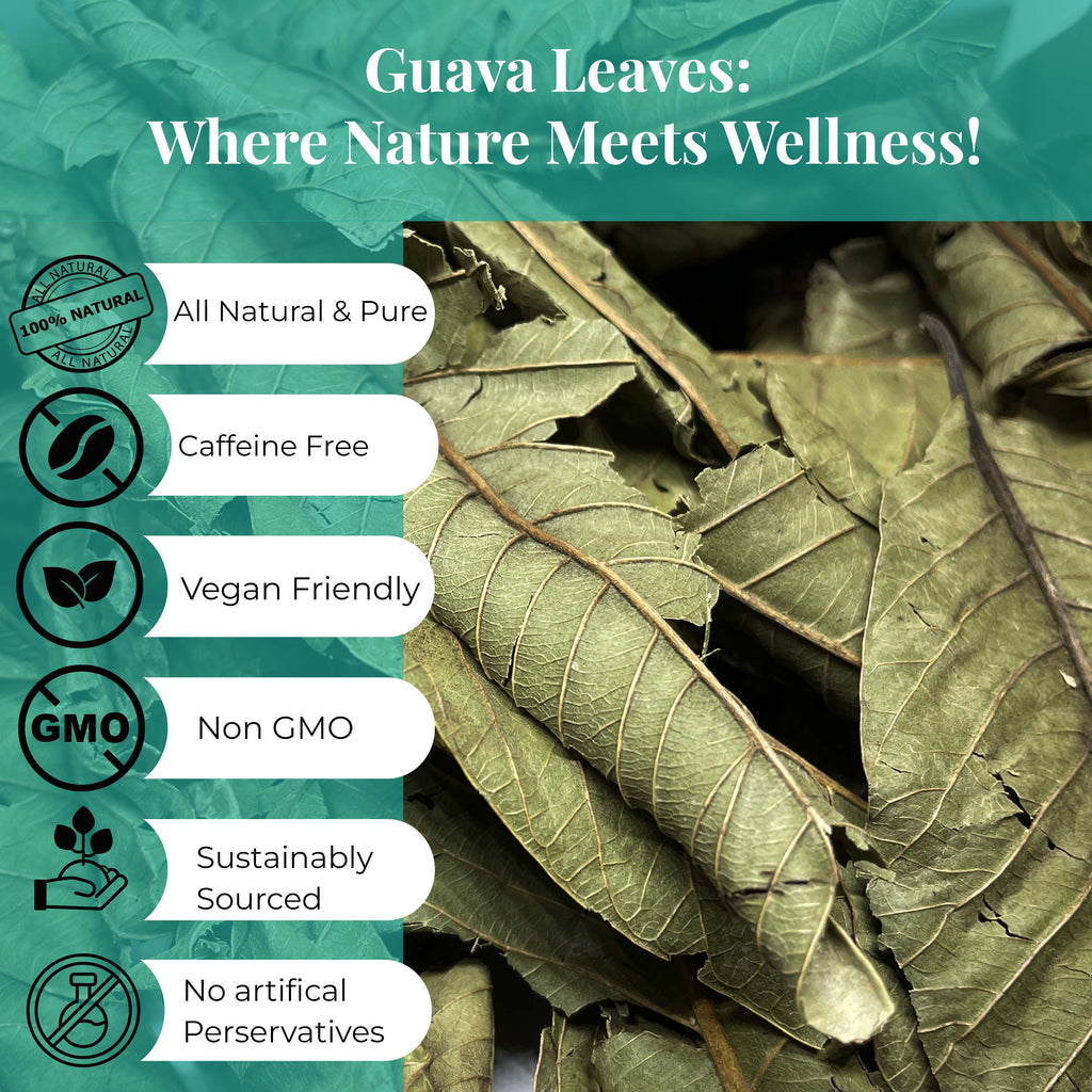 Premium Dried Guava Leaves 2.6 oz. | All Natural Herbal Tea