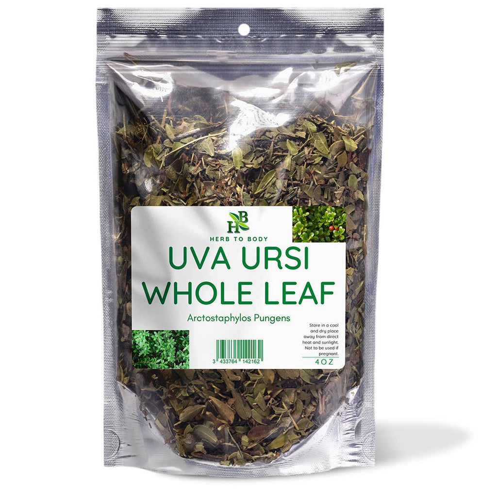 Uva Ursi Whole Leaf
