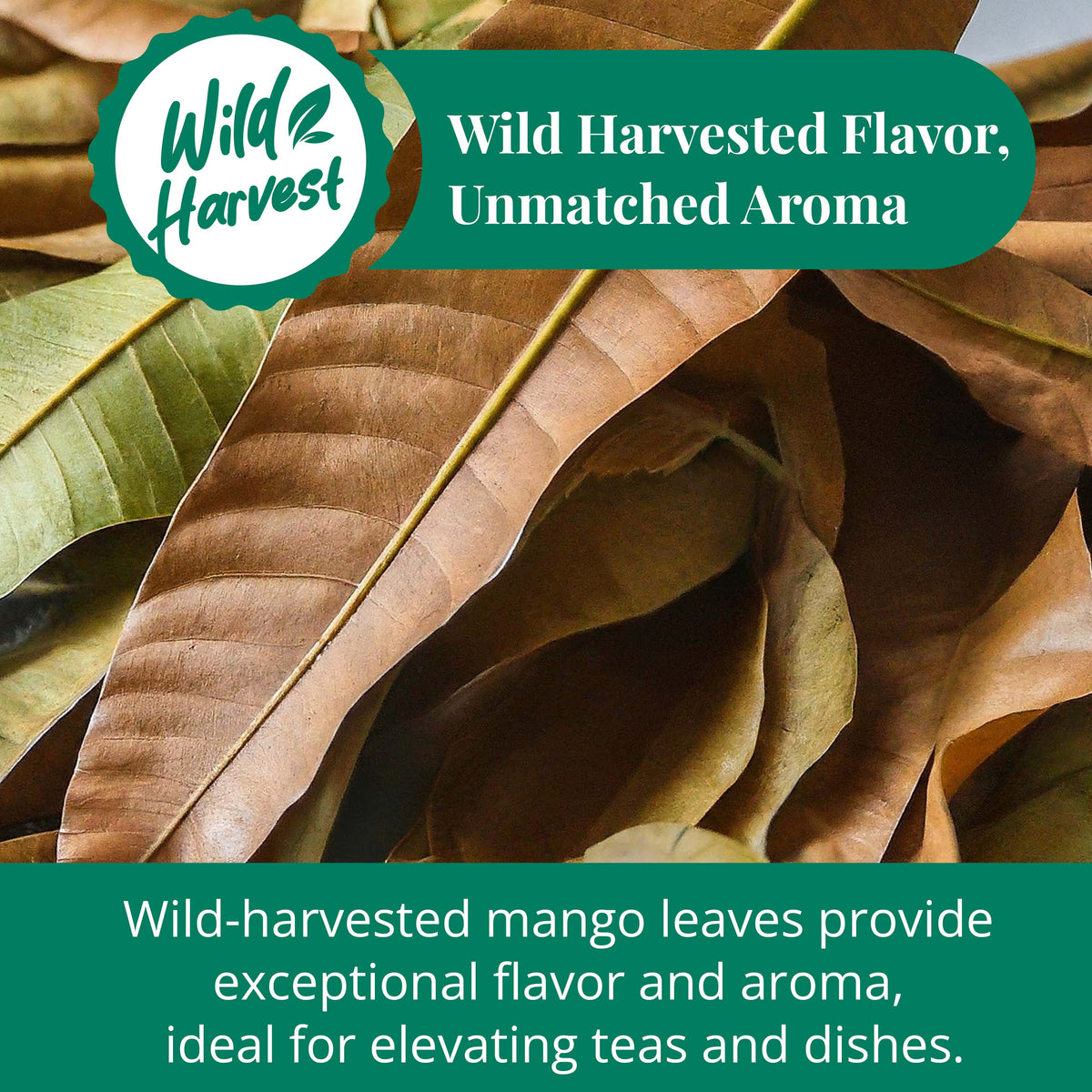 Dried Mango Leaves, Hoja De Mango Secas - 2.6 oz. Case of 5