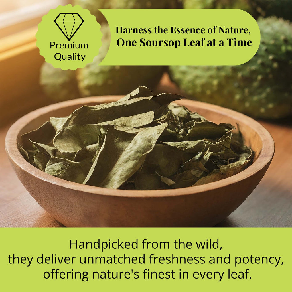 Soursop Leaves 73.8g, Hojas de Guanabana 200+Graviola Leaves