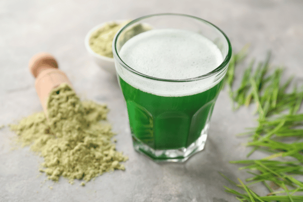Wheat Grass Juice Powder -  4oz | Herb To Body