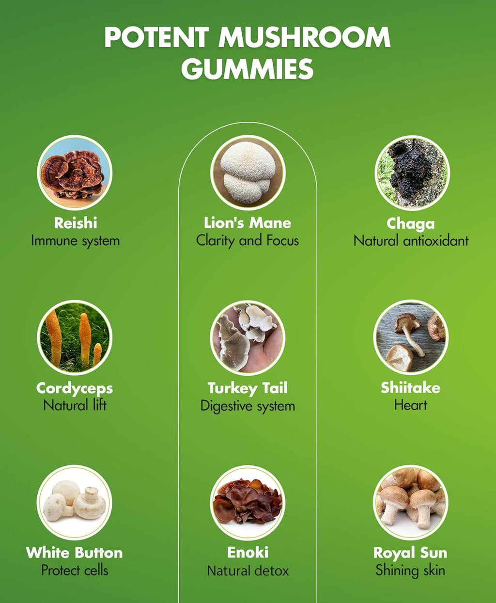 Mushroom Gummies - 10 Blend Lion's Mane Reishi Chaga Oyster