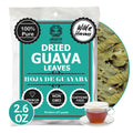 Premium Dried Guava Leaves 2.6 oz. | All Natural Herbal Tea