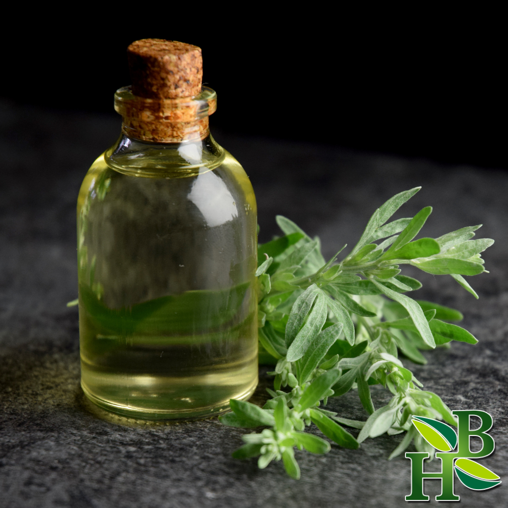 Wormwood Herb Powder - 4oz