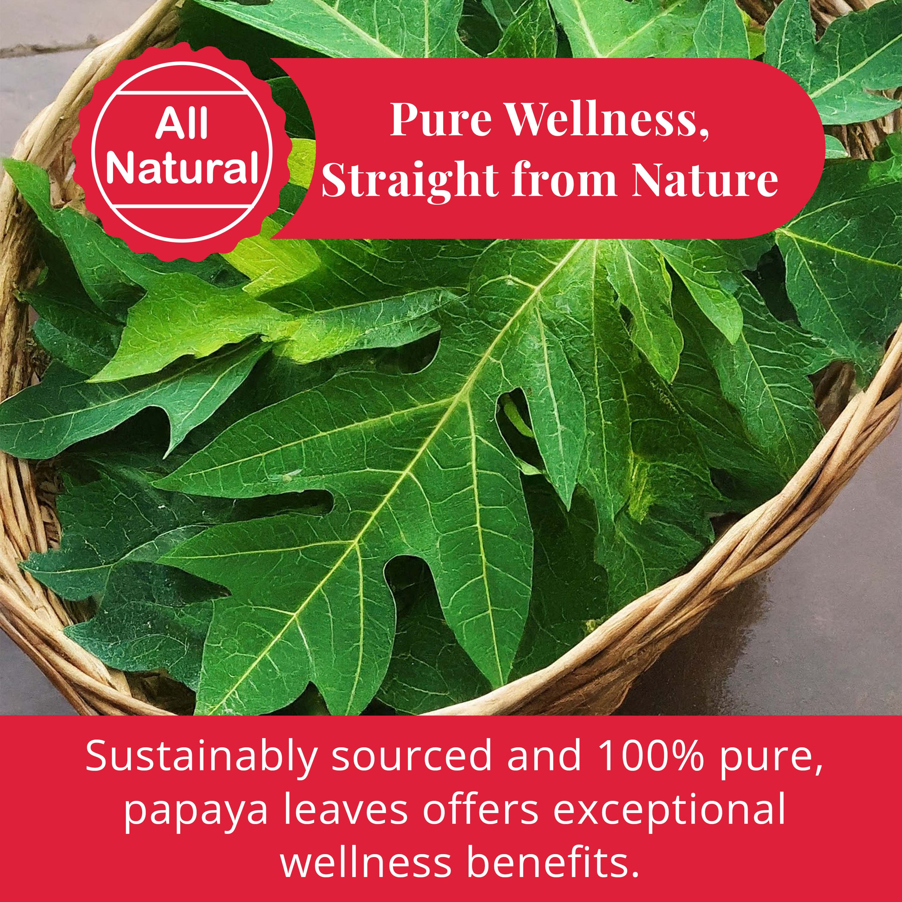 Dried Papaya Leaves, Papaya Leaf Tea 75g , Herbal Tea