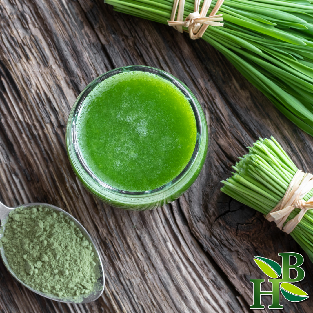 Barley Grass Powder - 4oz