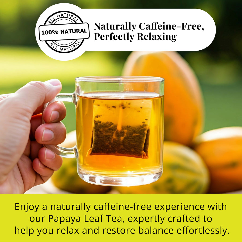 Papaya Leaf Tea Bags – 75 Count, 100% Natural Herbal Tea