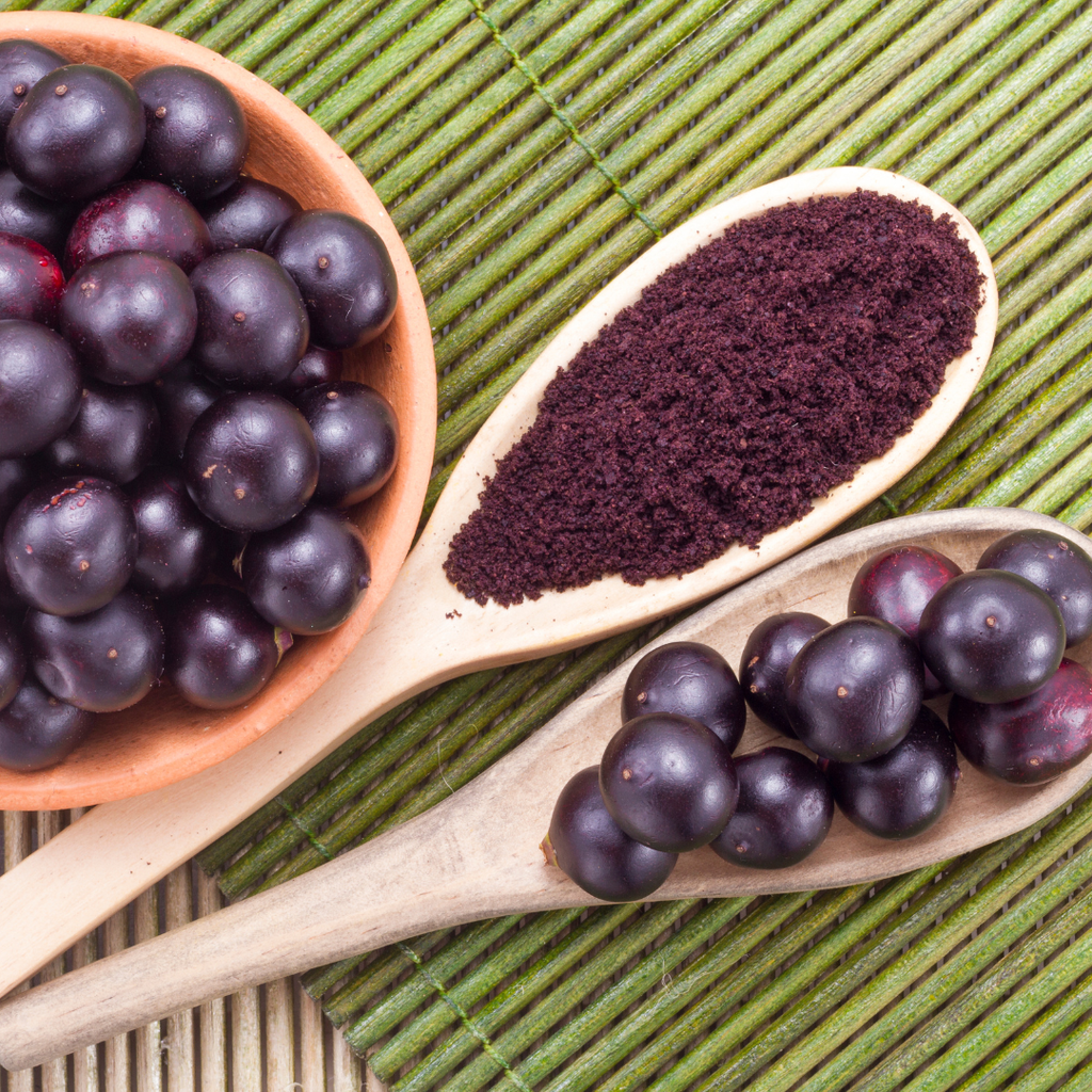 Acai Berry Powder – 4 oz -