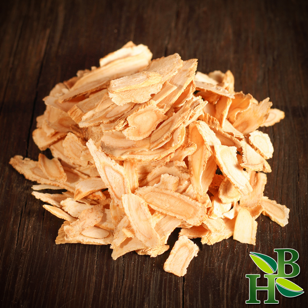 Angelica Root Powder - 4oz