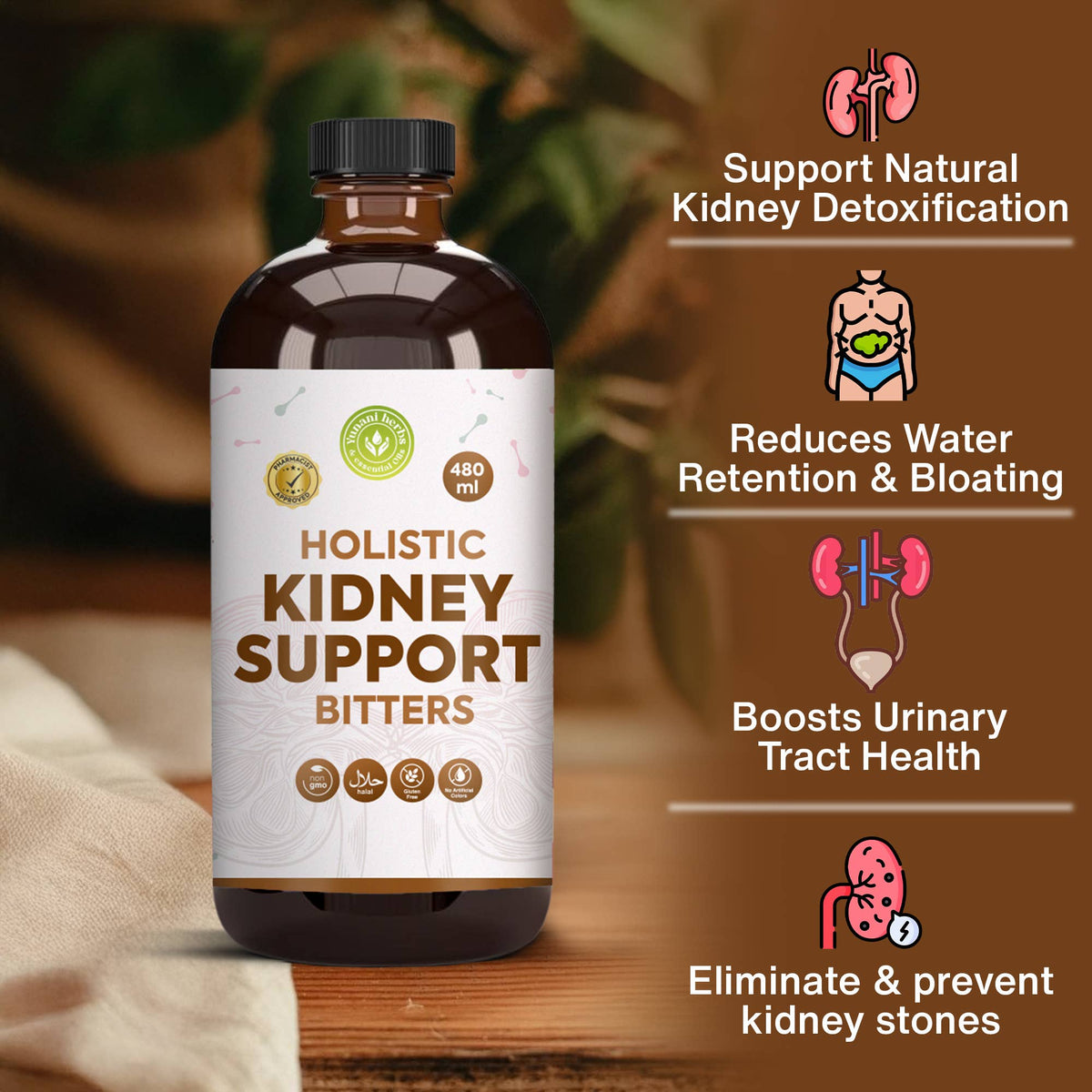 Kidney